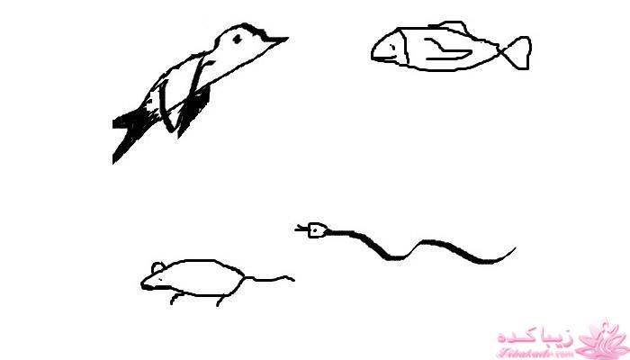 معانی فال قهوه 